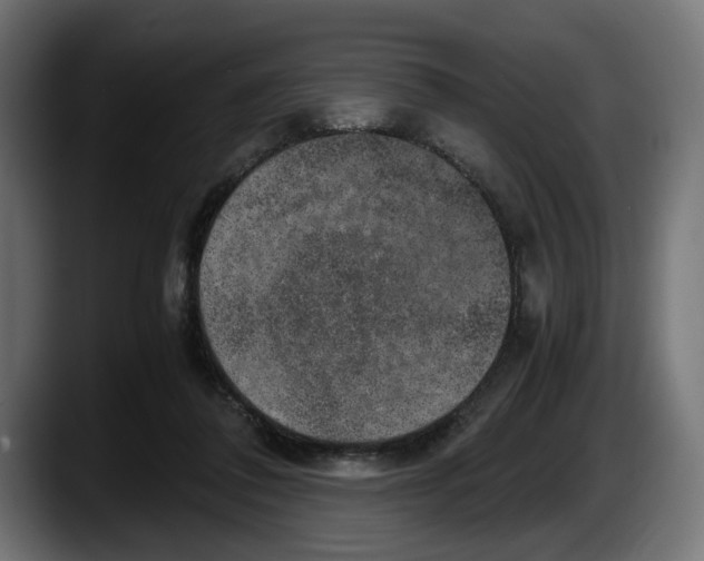 X0000087520308200705251644