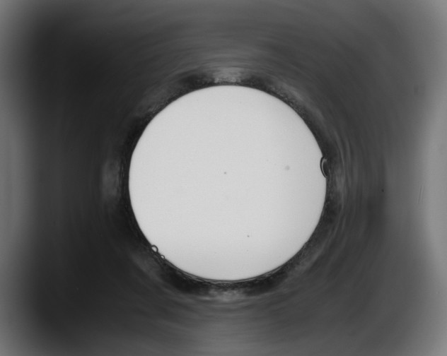 X0000087520311200705251644