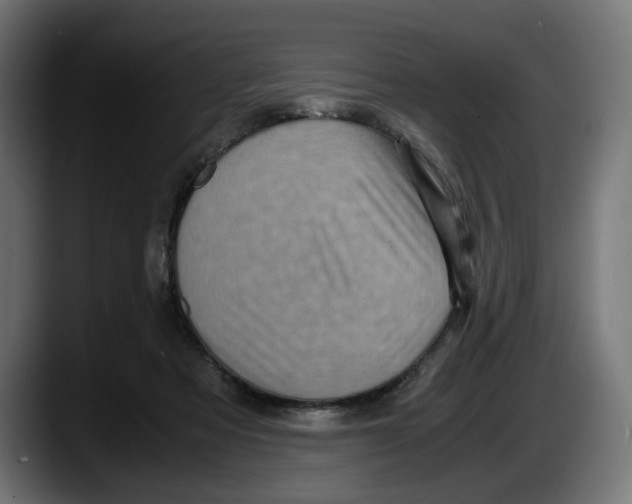 X0000087520313200705251644