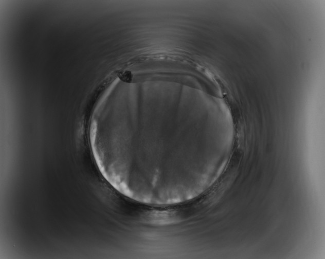 X0000087520314200705251644