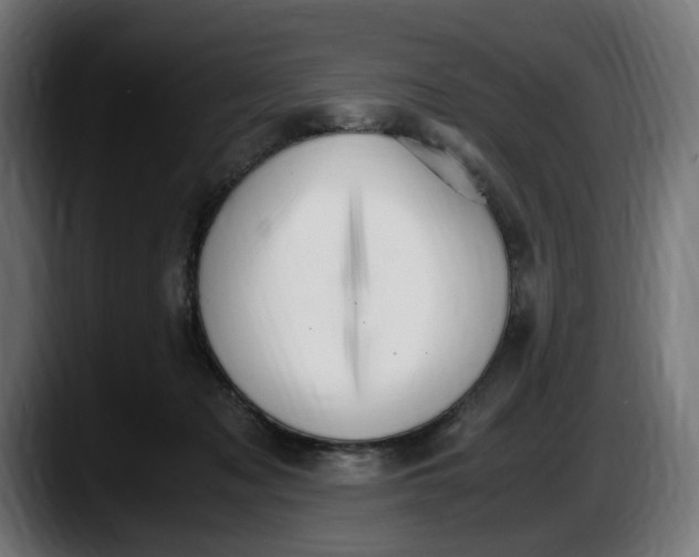 X0000087520317200705251644