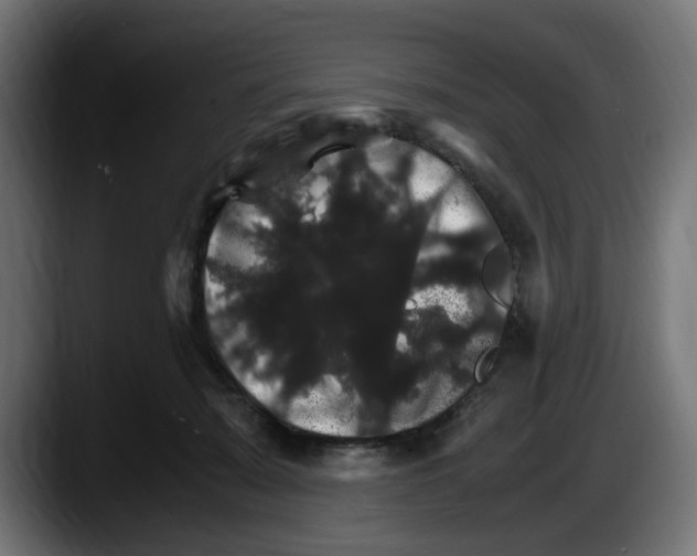 X0000087520319200705251644