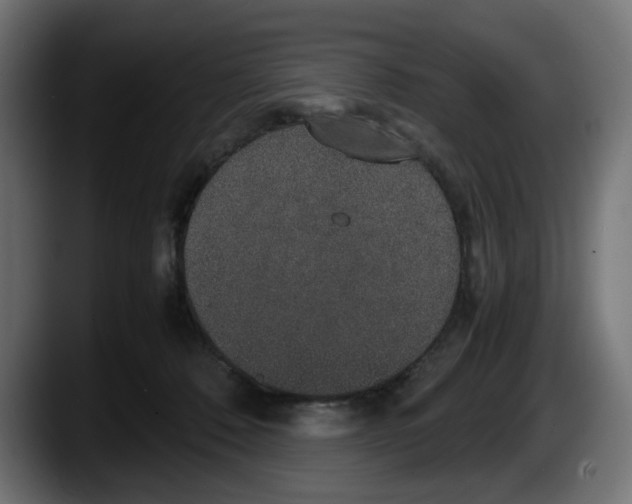 X0000087520320200705251644