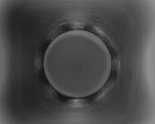 X0000087520323200705251644