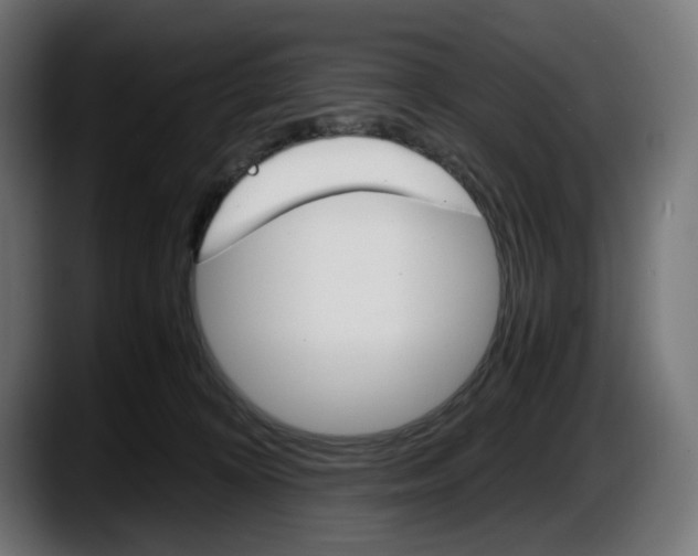 X0000087520324200705251644