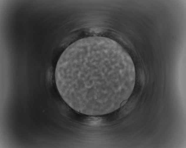 X0000087520328200705251644