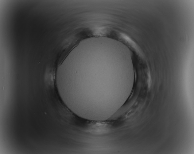 X0000087520329200705251644