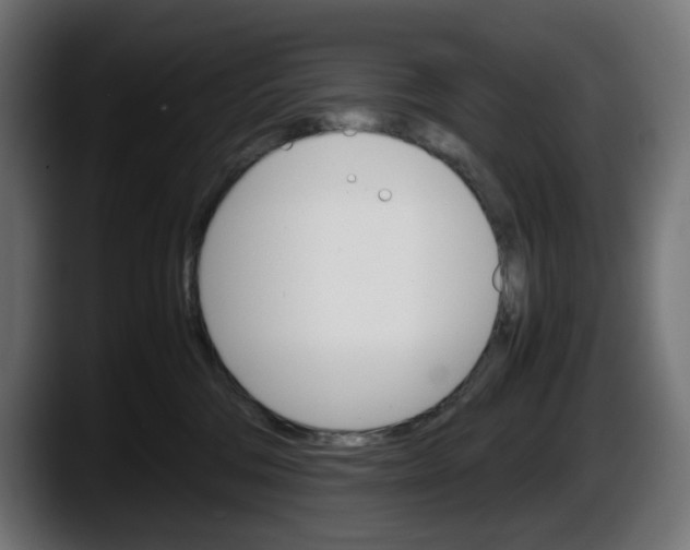 X0000087520330200705251644