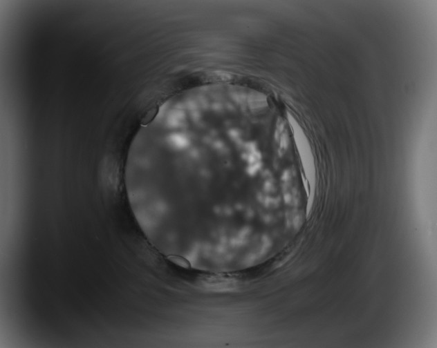 X0000087520331200705251644