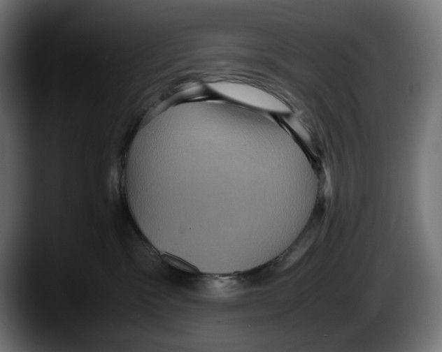 X0000087520333200705251644