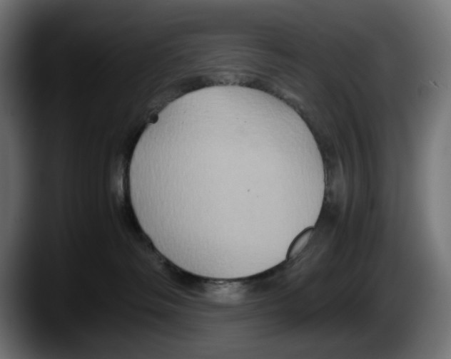 X0000087520334200705251644