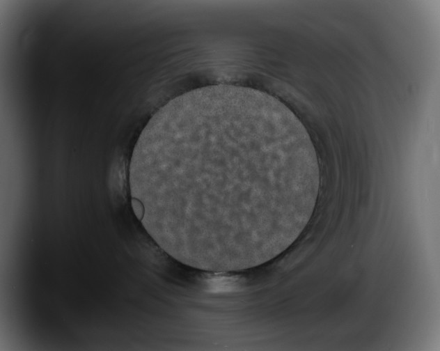 X0000087520336200705251644