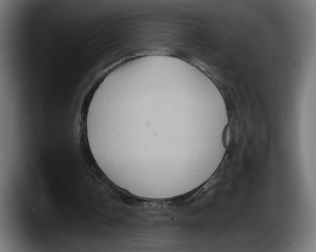 X0000087520338200705251643