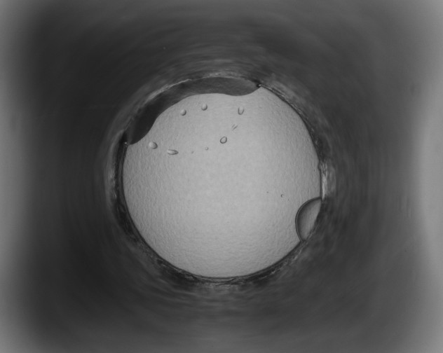 X0000087520339200705251644