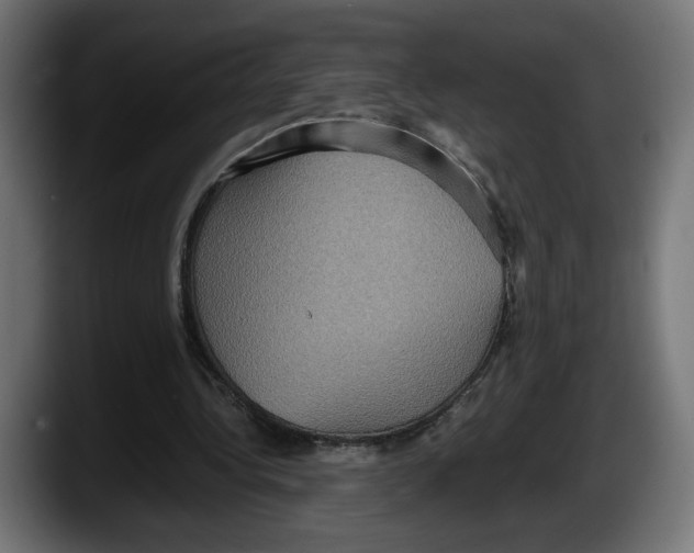 X0000087520340200705251644