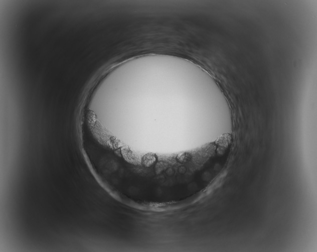 X0000087520341200705251644