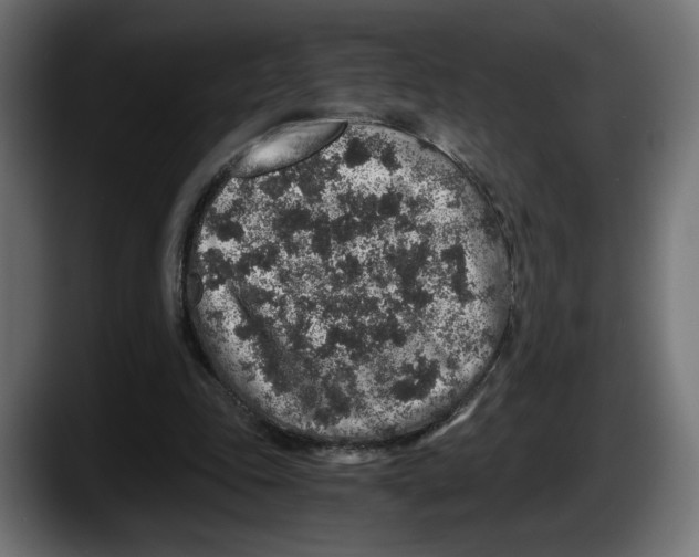 X0000087520343200705251644