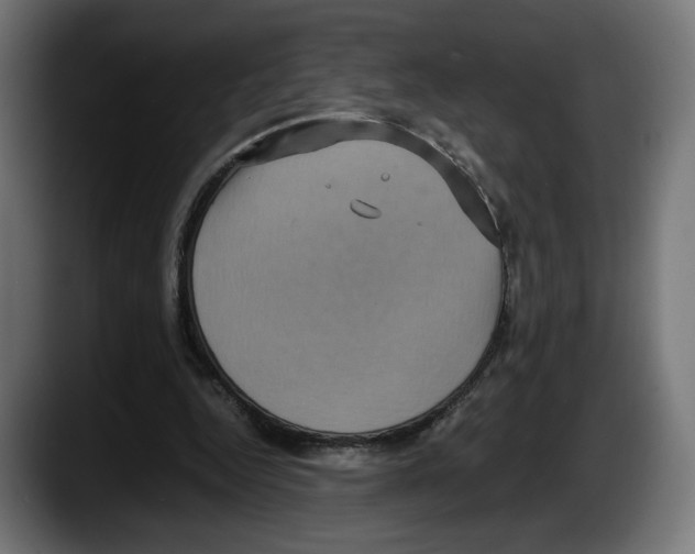 X0000087520344200705251644