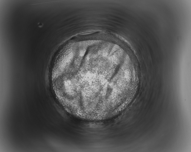 X0000087520345200705251644