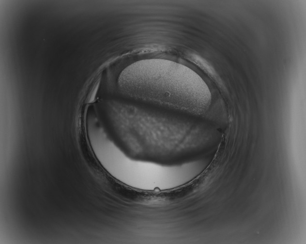 X0000087520348200705251644