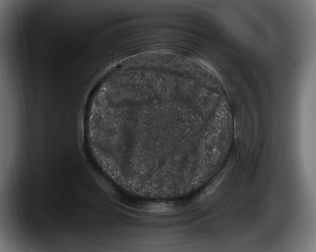 X0000087520349200705251644