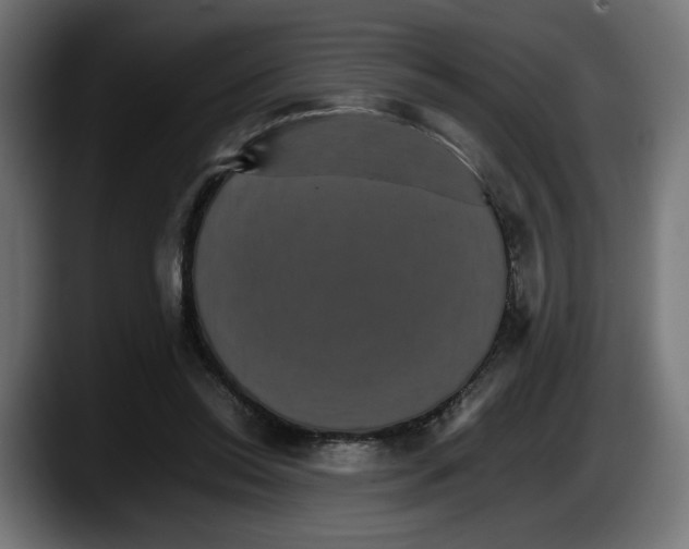 X0000087520350200705251644