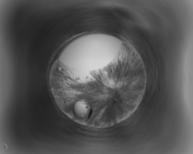 X0000087520351200705251644