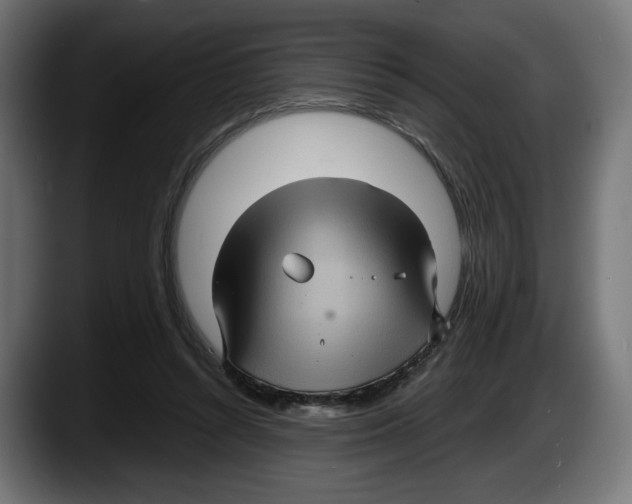 X0000087520352200705251644