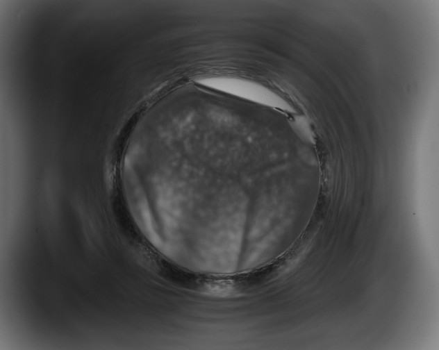 X0000087520355200705251644