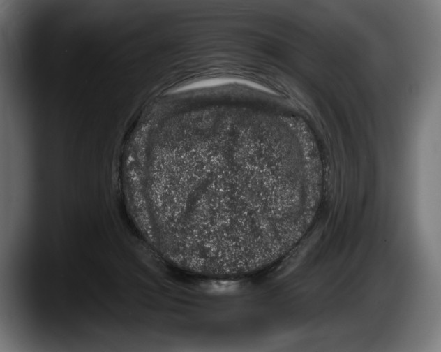 X0000087520361200705251644