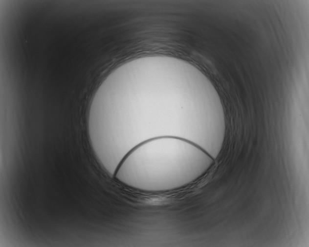 X0000087520364200705251644