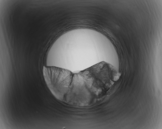 X0000087520365200705251644