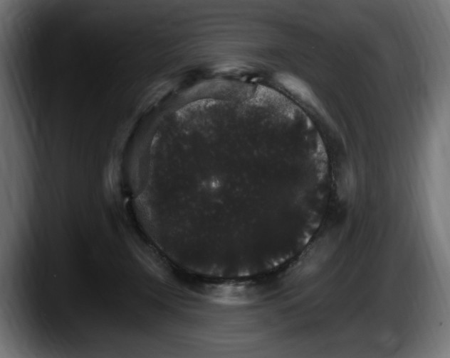 X0000087520366200705251644