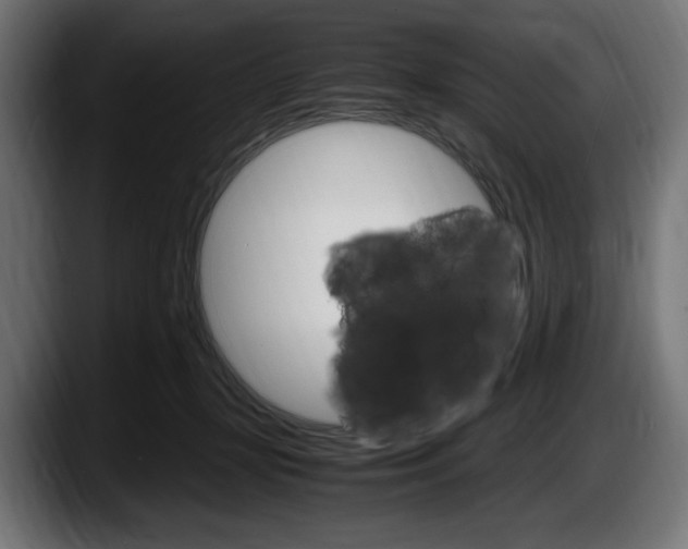 X0000087520367200705251644