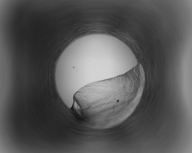 X0000087520369200705251644