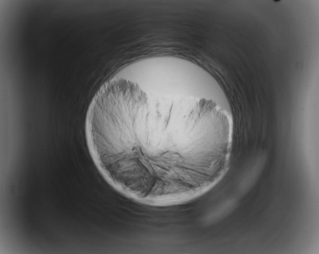 X0000087520373200705251644