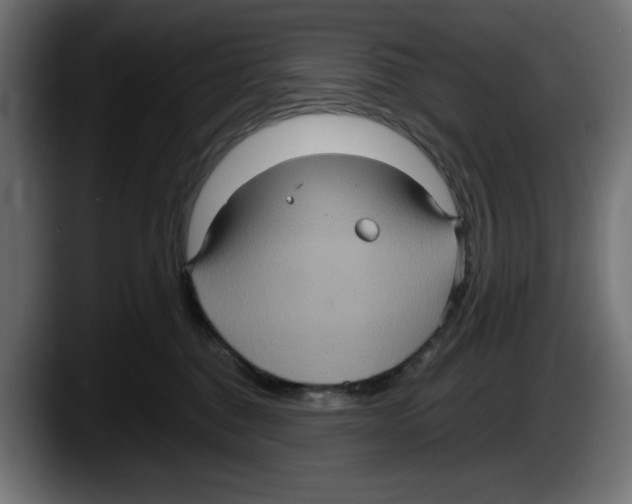 X0000087520376200705251644