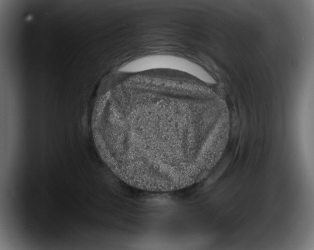 X0000087520377200705251644