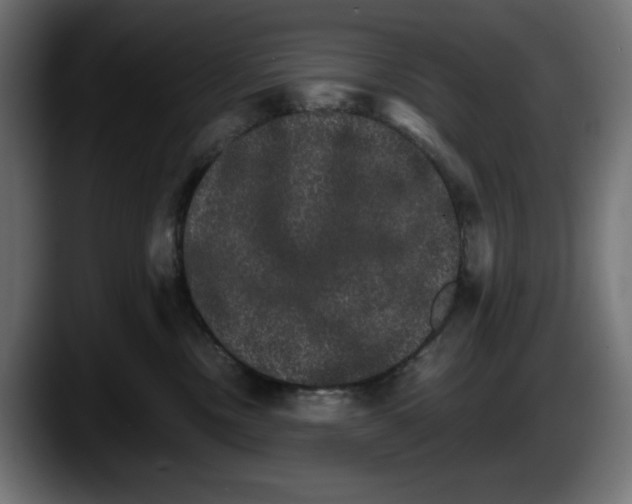 X0000087520378200705251644