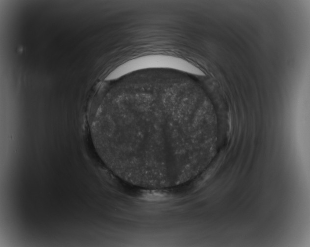 X0000087520380200705251644