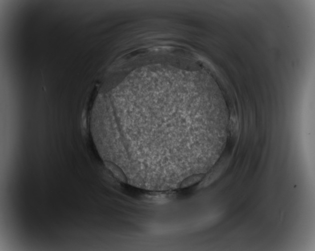 X0000087520381200705251644