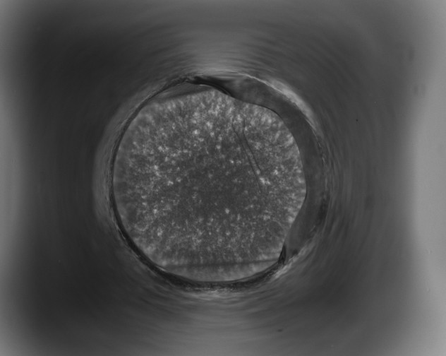 X0000087520385200705251643