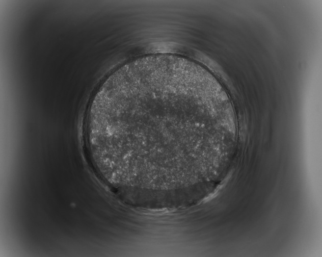 X0000087520386200705251643