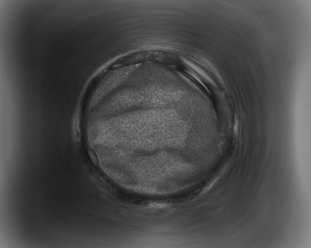 X0000087520388200705251643