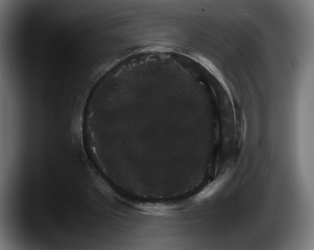 X0000087520389200705251643