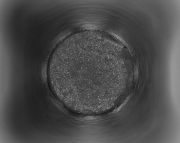 X0000087520390200705251643