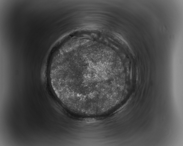 X0000087520392200705251643