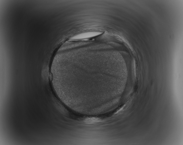 X0000087520397200705251643