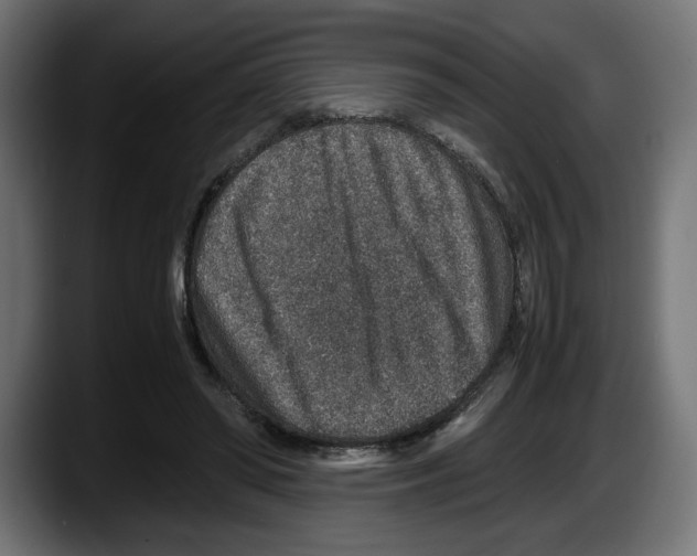 X0000087520398200705251643