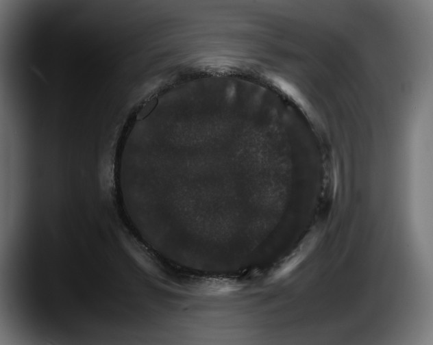 X0000087520399200705251643